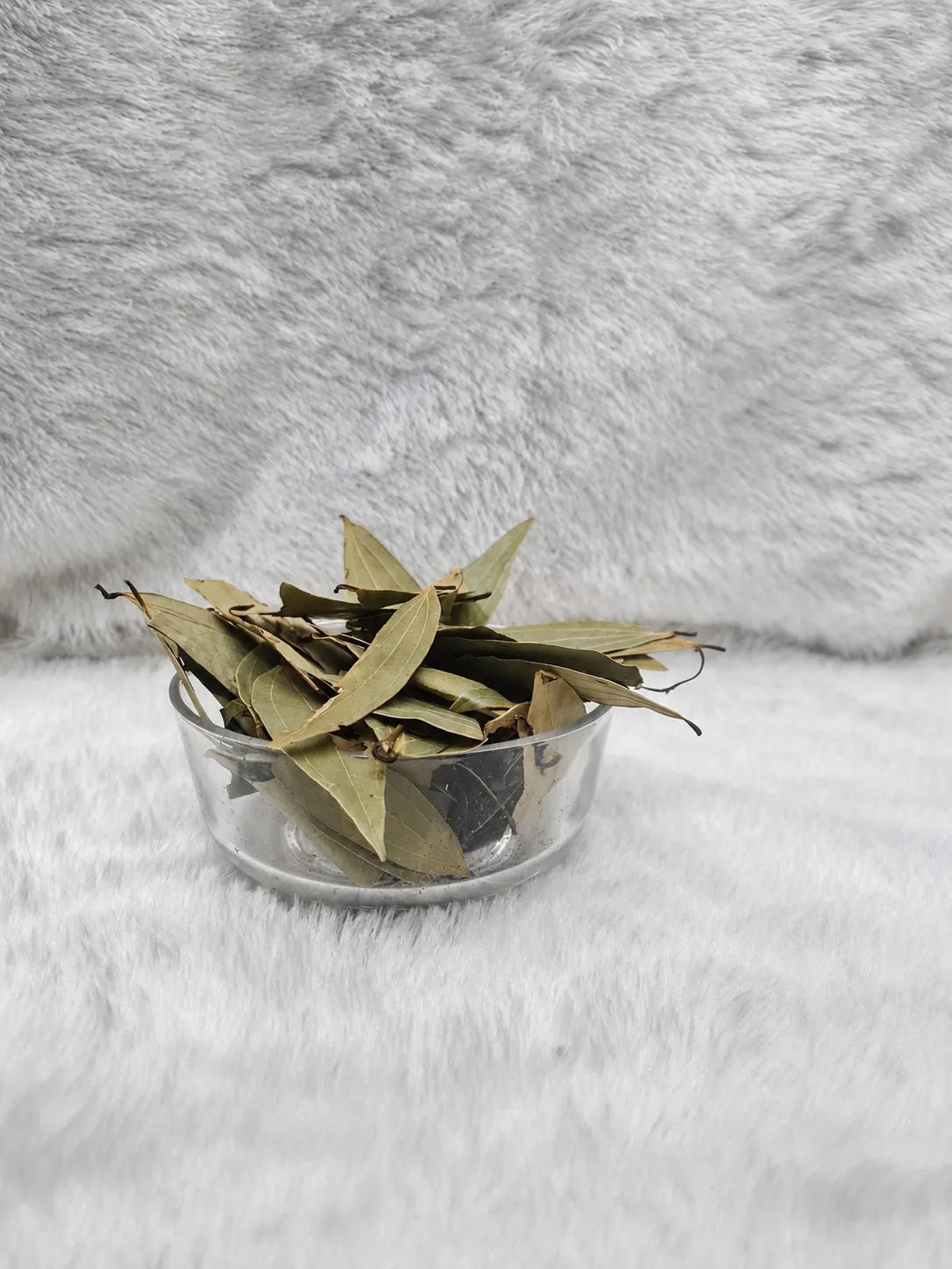 bay leaf